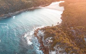 Preview wallpaper sea, aerial view, trees, bay, sunlight