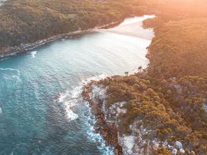 Preview wallpaper sea, aerial view, trees, bay, sunlight