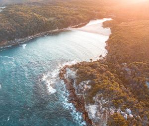 Preview wallpaper sea, aerial view, trees, bay, sunlight