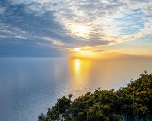 Preview wallpaper sea, bay, grass, landscape, nature