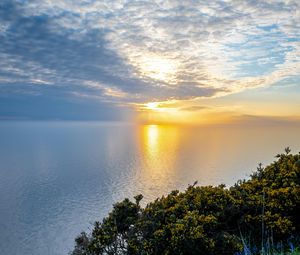 Preview wallpaper sea, bay, grass, landscape, nature