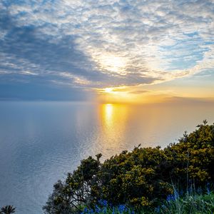 Preview wallpaper sea, bay, grass, landscape, nature