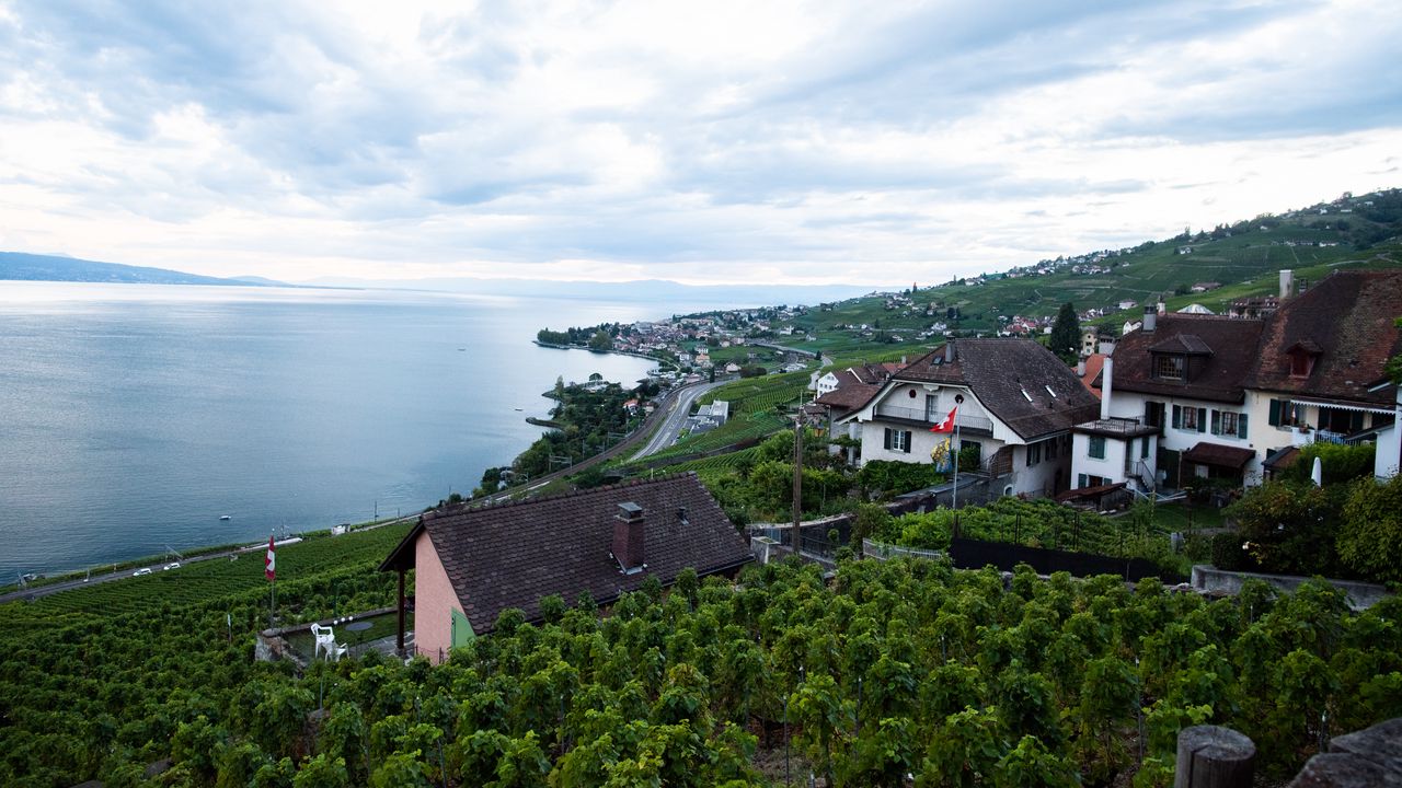 Wallpaper sea, bay, houses, coast