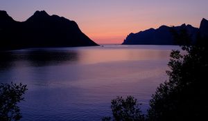 Preview wallpaper sea, bay, rocks, branches, trees, twilight