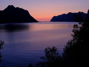 Preview wallpaper sea, bay, rocks, branches, trees, twilight