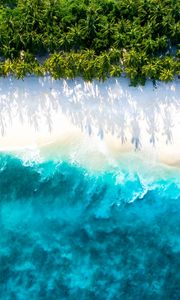 Preview wallpaper sea, beach, aerial view, water, sand, palm trees