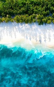 Preview wallpaper sea, beach, aerial view, water, sand, palm trees