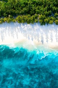 Preview wallpaper sea, beach, aerial view, water, sand, palm trees