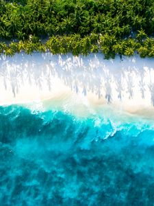 Preview wallpaper sea, beach, aerial view, water, sand, palm trees