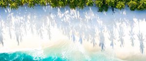 Preview wallpaper sea, beach, aerial view, water, sand, palm trees