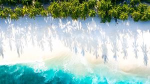 Preview wallpaper sea, beach, aerial view, water, sand, palm trees