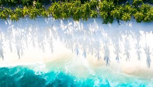 Preview wallpaper sea, beach, aerial view, water, sand, palm trees