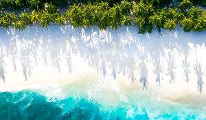 Preview wallpaper sea, beach, aerial view, water, sand, palm trees