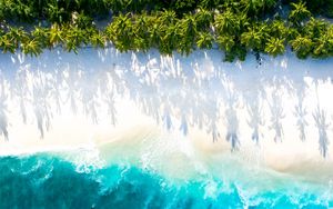 Preview wallpaper sea, beach, aerial view, water, sand, palm trees