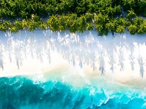 Preview wallpaper sea, beach, aerial view, water, sand, palm trees