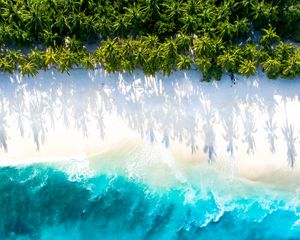 Preview wallpaper sea, beach, aerial view, water, sand, palm trees