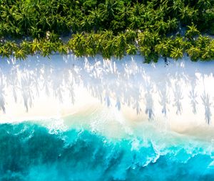 Preview wallpaper sea, beach, aerial view, water, sand, palm trees
