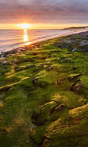 Preview wallpaper sea, beach, coast, rays, sun