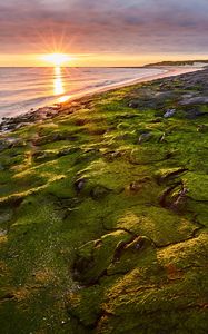 Preview wallpaper sea, beach, coast, rays, sun