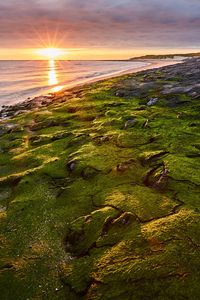 Preview wallpaper sea, beach, coast, rays, sun