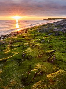 Preview wallpaper sea, beach, coast, rays, sun