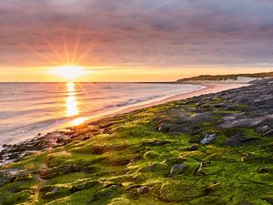 Preview wallpaper sea, beach, coast, rays, sun