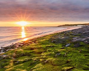 Preview wallpaper sea, beach, coast, rays, sun