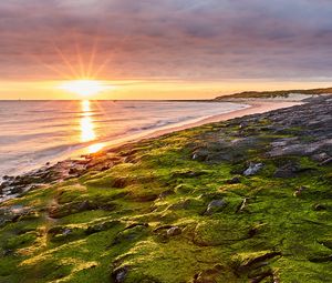 Preview wallpaper sea, beach, coast, rays, sun