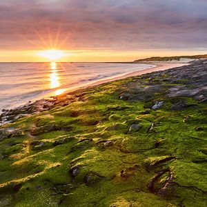 Preview wallpaper sea, beach, coast, rays, sun