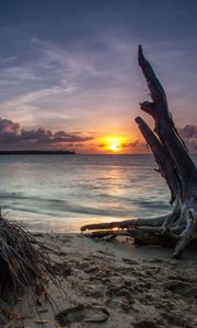 Preview wallpaper sea, beach, driftwood, sand