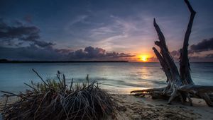 Preview wallpaper sea, beach, driftwood, sand