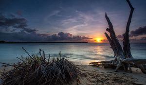 Preview wallpaper sea, beach, driftwood, sand