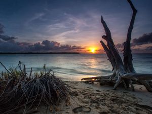 Preview wallpaper sea, beach, driftwood, sand