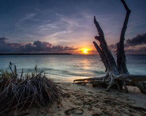 Preview wallpaper sea, beach, driftwood, sand