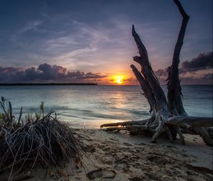 Preview wallpaper sea, beach, driftwood, sand