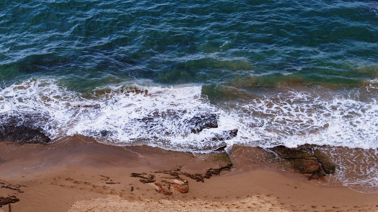 Wallpaper sea, beach, footprints