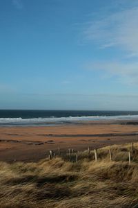 Preview wallpaper sea, beach, grass, wind