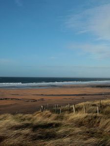 Preview wallpaper sea, beach, grass, wind