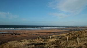 Preview wallpaper sea, beach, grass, wind