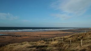 Preview wallpaper sea, beach, grass, wind