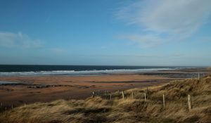 Preview wallpaper sea, beach, grass, wind