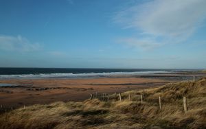 Preview wallpaper sea, beach, grass, wind