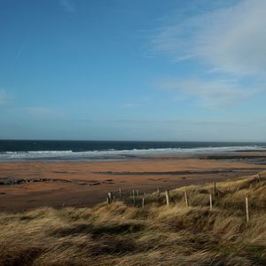 Preview wallpaper sea, beach, grass, wind