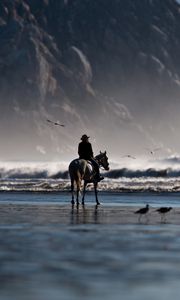 Preview wallpaper sea, beach, horse, rider, birds