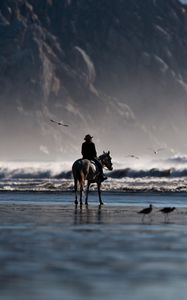 Preview wallpaper sea, beach, horse, rider, birds