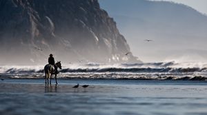 Preview wallpaper sea, beach, horse, rider, birds