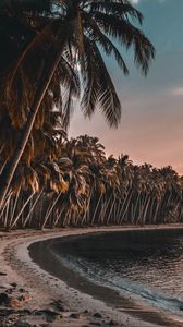 Preview wallpaper sea, beach, palm trees, sunset, tropics