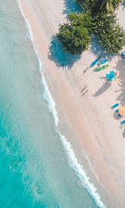 Preview wallpaper sea, beach, palm trees, umbrellas, summer, aerial view