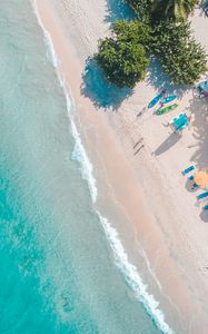 Preview wallpaper sea, beach, palm trees, umbrellas, summer, aerial view