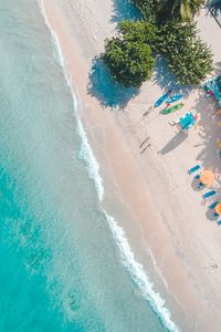 Preview wallpaper sea, beach, palm trees, umbrellas, summer, aerial view